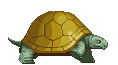 Master Okina's pet Turtle.  His name is Turtle.